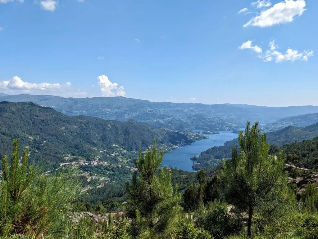 2f4d960e f37d 4529 86a4 0064bbed9d64